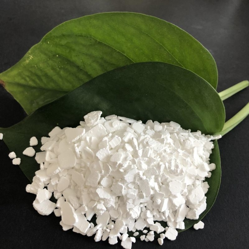 CrystalBoost Calcium Chloride Crystal Growth Enhancer verbessert das Wachstum von Kristallen in chemischen Prozessen und Fertigung.